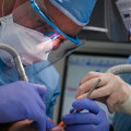 Do UK Dentists Have the Right to Use the Title 'Doctor'?